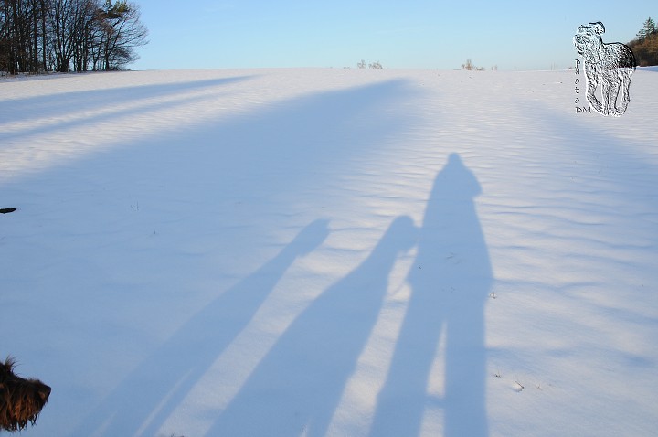 img00009.jpg