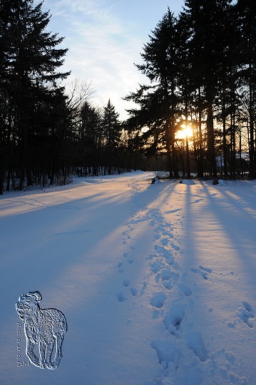 img00028.jpg