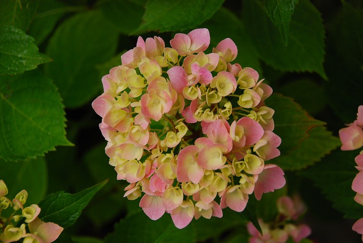 img00003.jpg