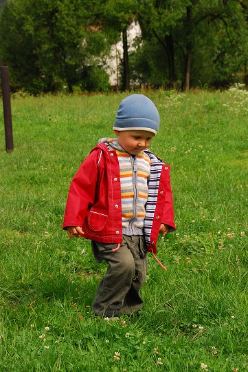 img00014.jpg