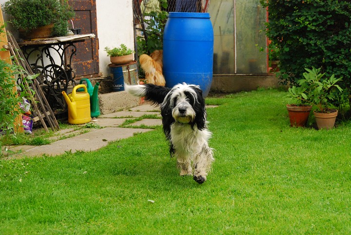 img00023.jpg