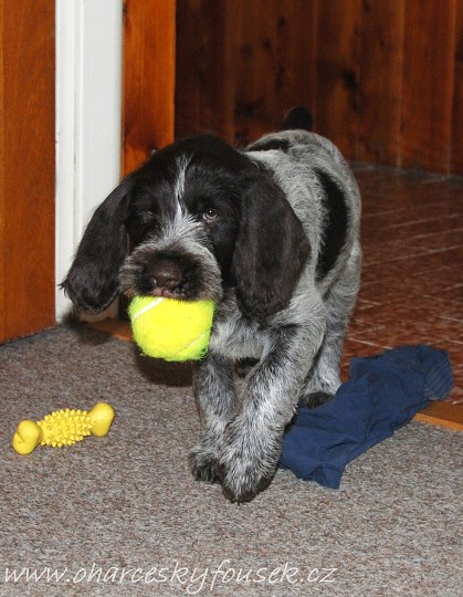 img00003.jpg