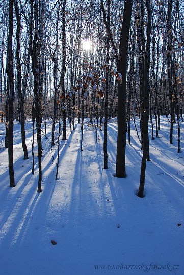 img00024.jpg