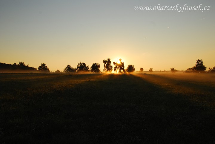 img00008.jpg