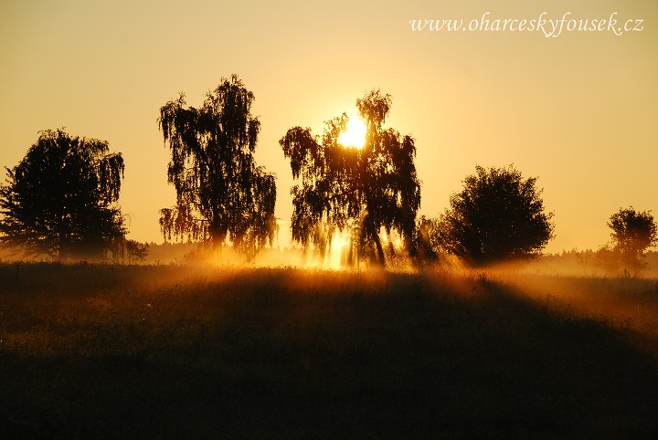 img00009.jpg