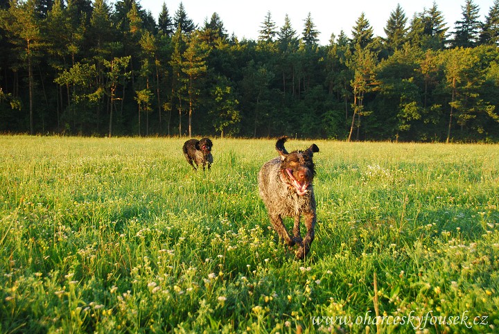 img00020.jpg