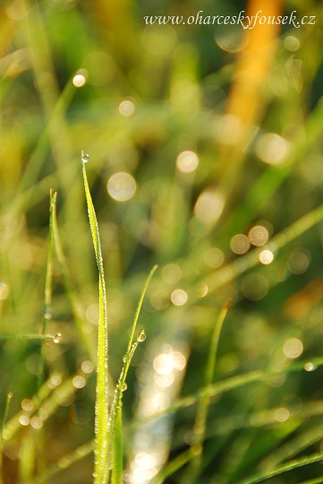 img00023.jpg