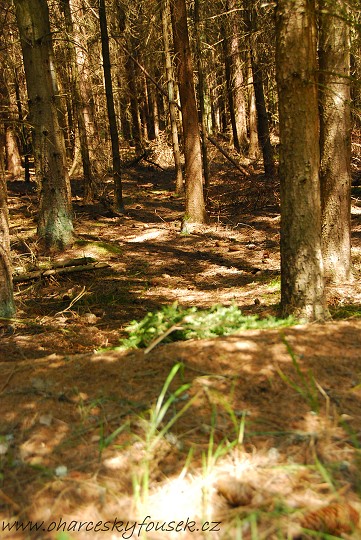 img00023.jpg