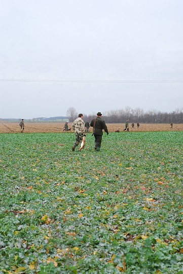 img00013.jpg