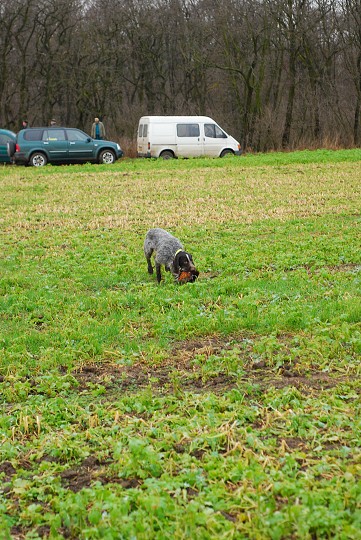 img00032.jpg