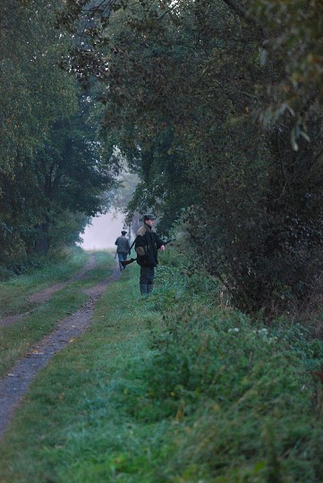 img00001.jpg