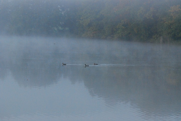img00003.jpg