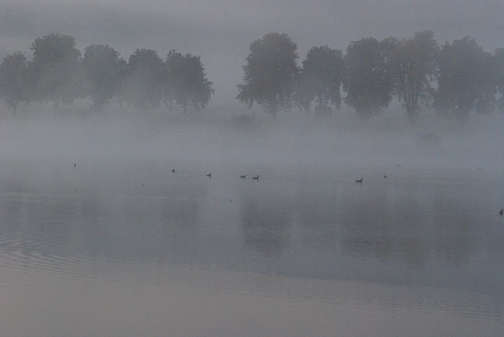 img00004.jpg