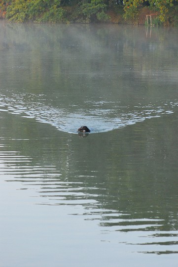 img00006.jpg