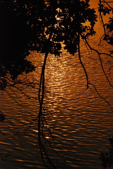 img00010.jpg