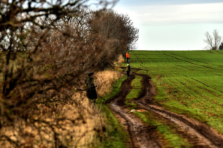 img00002.jpg