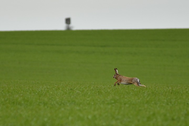 img00010.jpg
