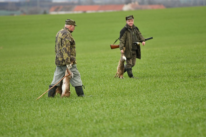 img00015.jpg