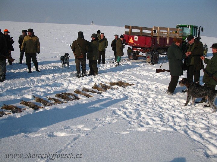img00010.jpg