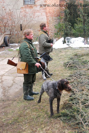 img00040.jpg