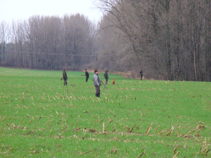 img00003.jpg