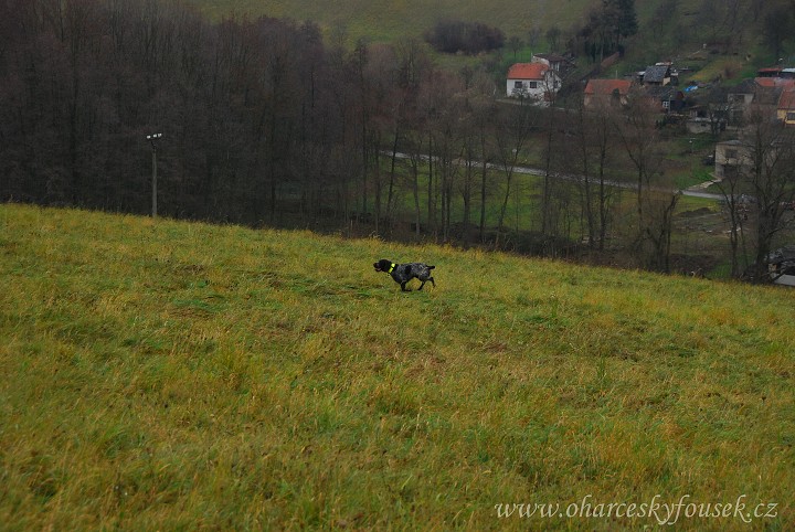 img00048.jpg