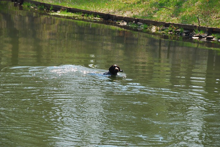 img00010.jpg