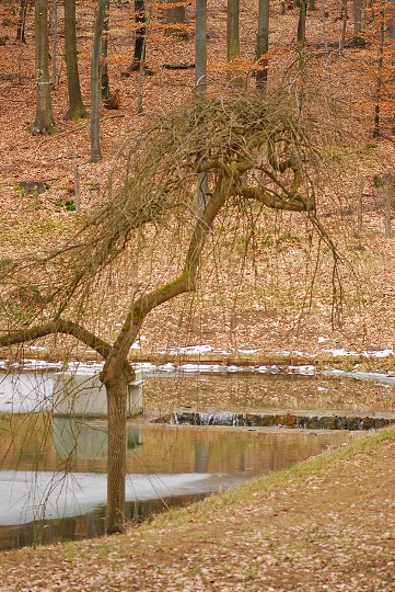 img00002.jpg