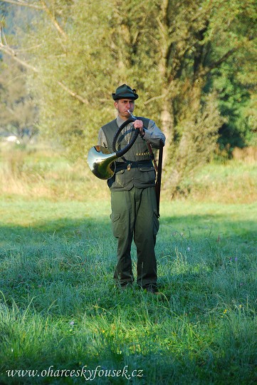 img00013.jpg