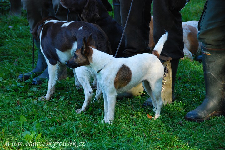 img00015.jpg