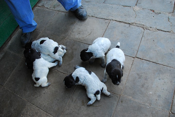 img00006.jpg