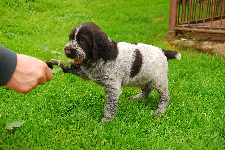 img00015.jpg
