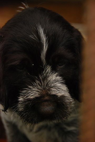 img00025.jpg