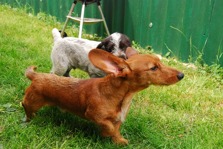 img00019.jpg