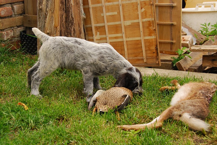 img00020.jpg