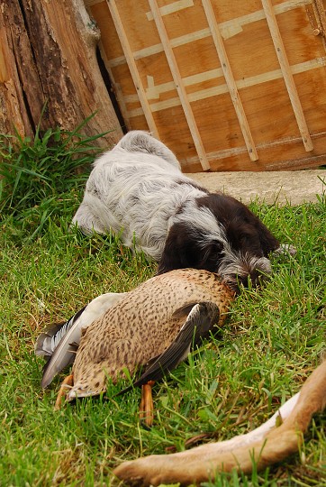 img00021.jpg