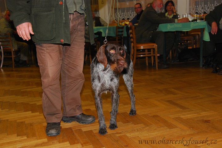 img00006.jpg