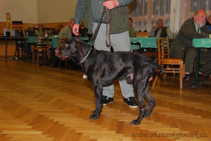 img00008.jpg