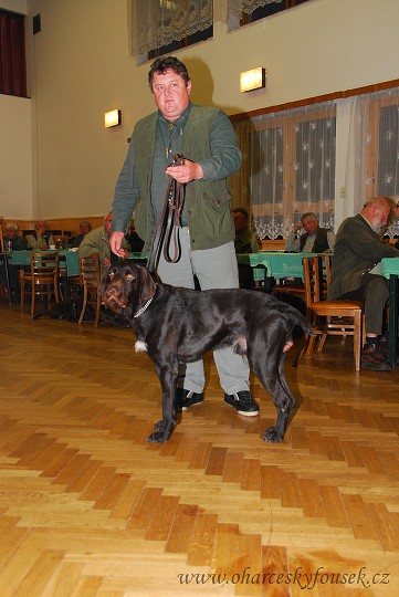 img00009.jpg