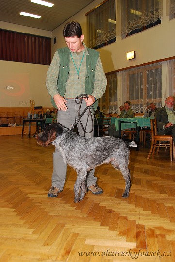 img00010.jpg