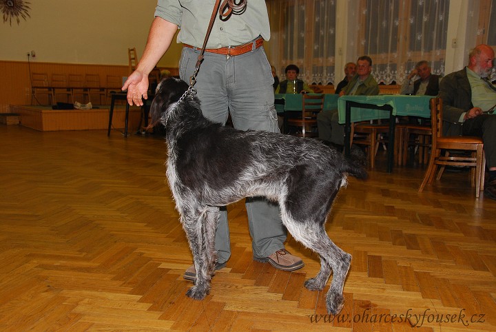 img00012.jpg