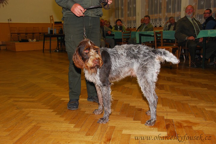 img00016.jpg