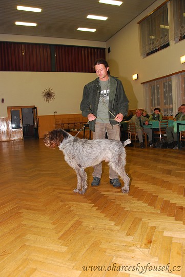 img00017.jpg