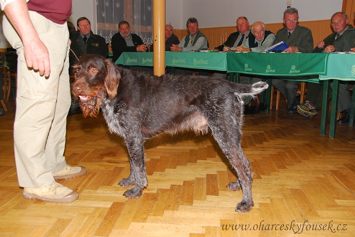 img00019.jpg