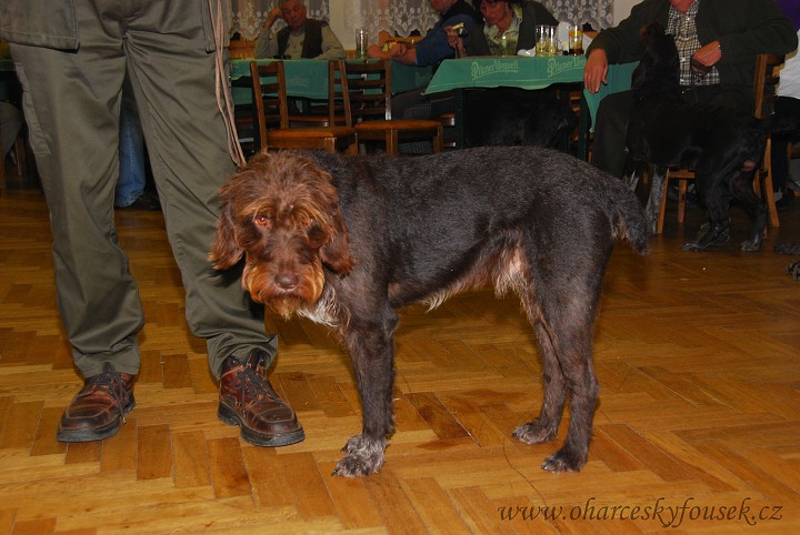 img00021.jpg