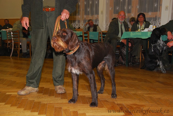 img00025.jpg