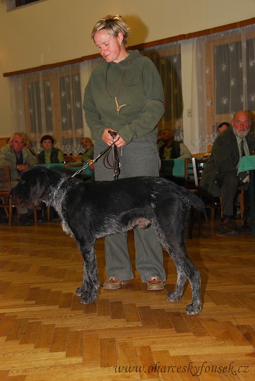 img00026.jpg
