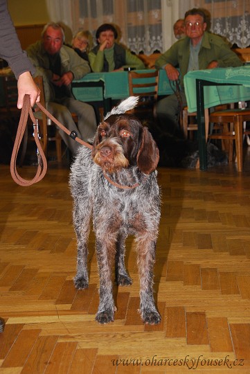 img00028.jpg