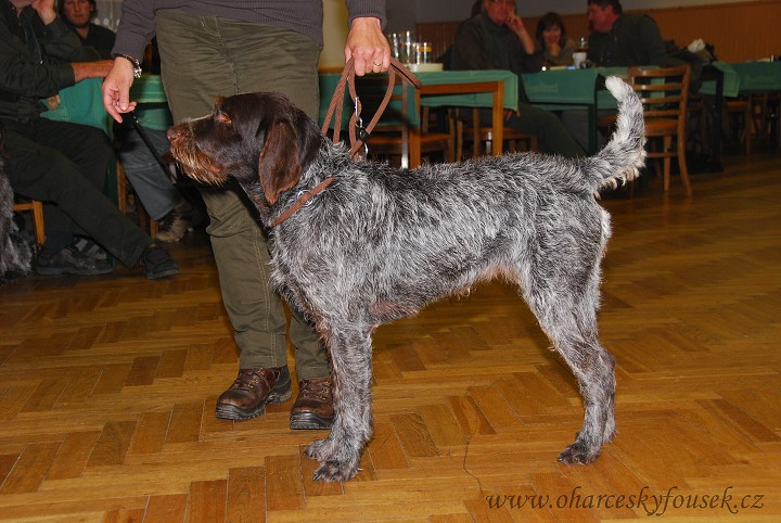 img00029.jpg