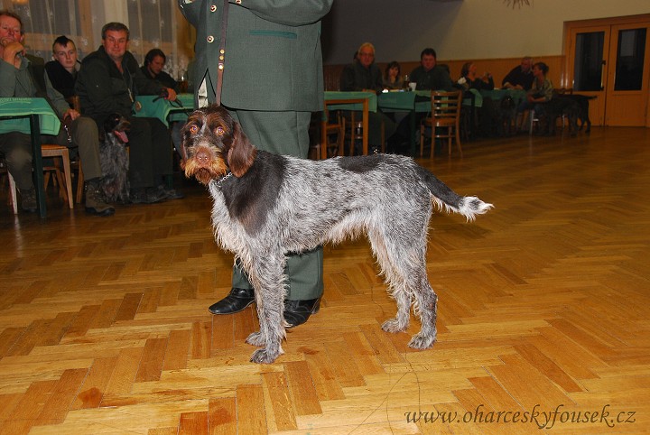 img00032.jpg